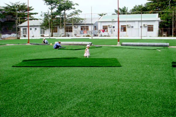 Địa chỉ cung cấp cỏ nhân tạo sân bóng