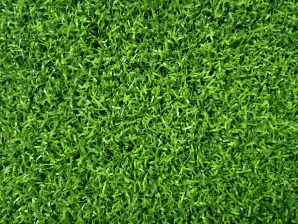 thảm cỏ sân golf