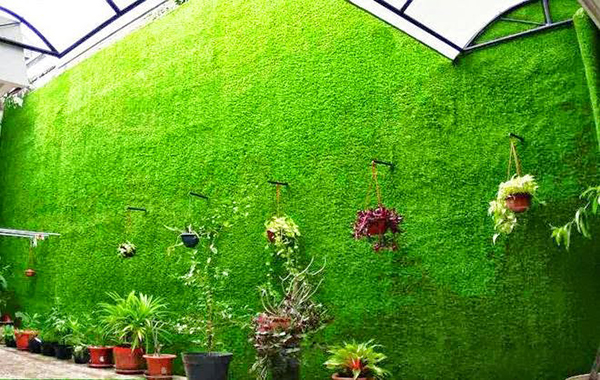 thảm cỏ trang trí tường