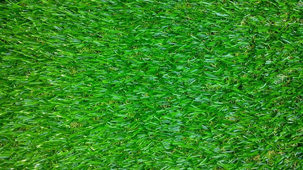 Địa chỉ cung cấp các loại thảm cỏ nhân tạo