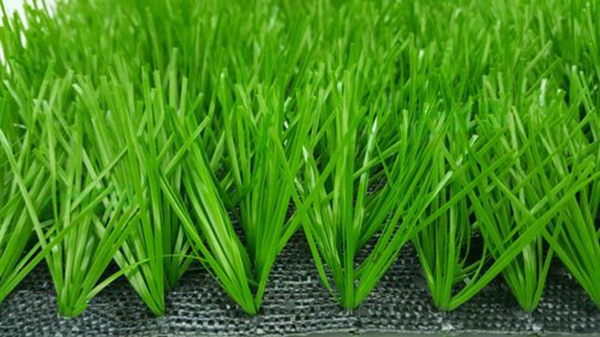 Cấu tạo của các sợi cỏ thảm cỏ nhựa