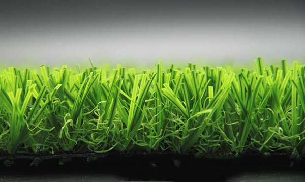 Loại thảm cỏ sân vườn thường dùng cho ngôi nhà bạn