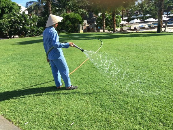 tưới nước chăm sóc cỏ sân golf luôn xanh tốt